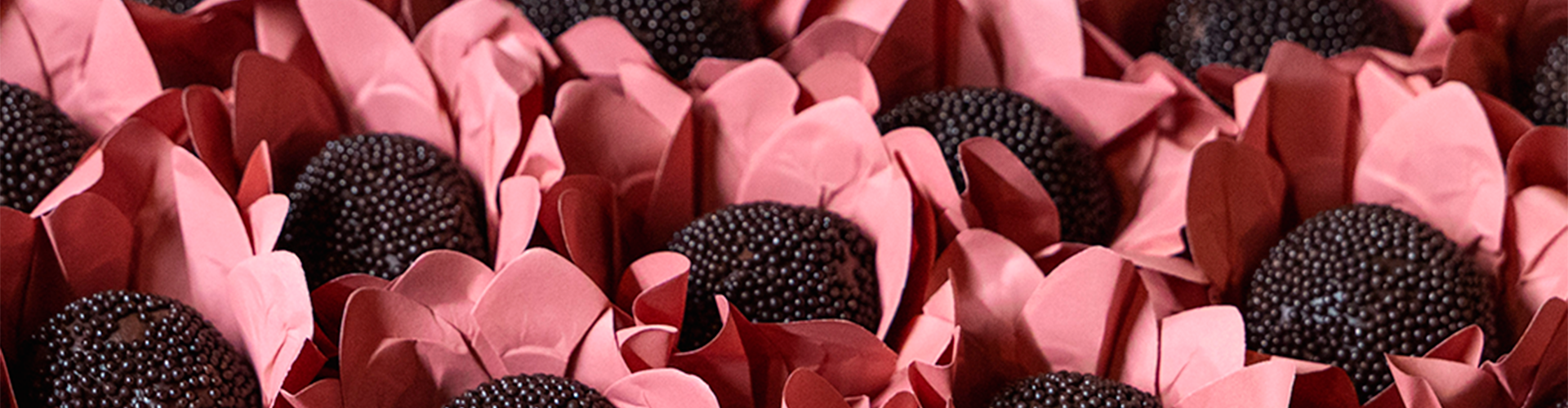 1920X500